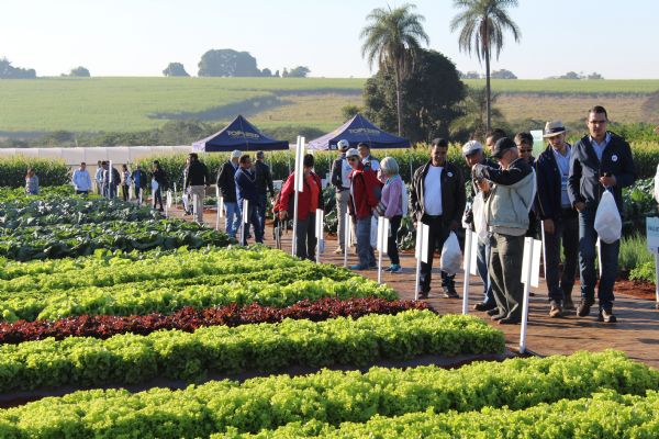 Dia de Campo da Agristar tem n&uacute;mero recorde de visitantes durante a Hortitec