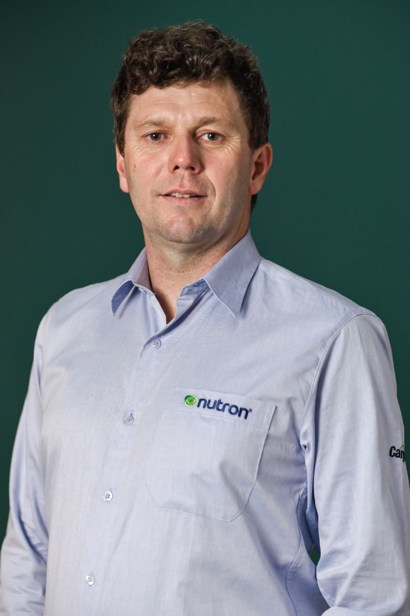 Como fazer com que suas vacas voem