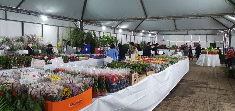 7ª Expoflor do Rotary Club segue até domingo 