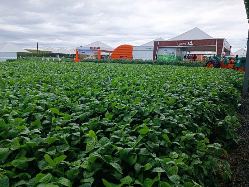 Pesquisas e tecnologias em soja, milho e feijão