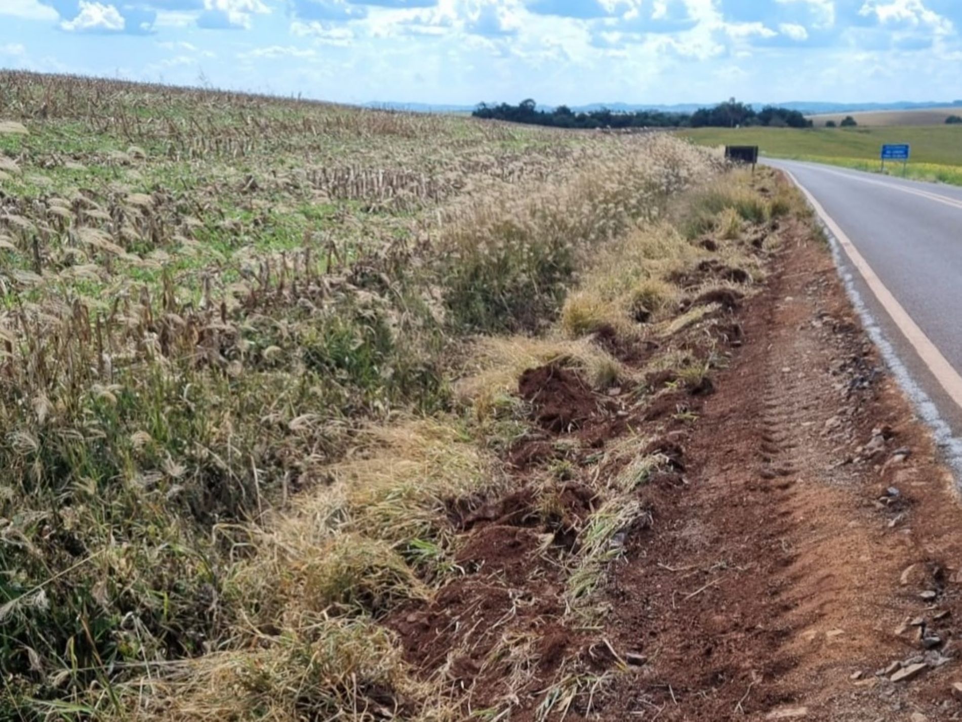 Sindicato Rural reivindica roçada na estrada do Goioxim