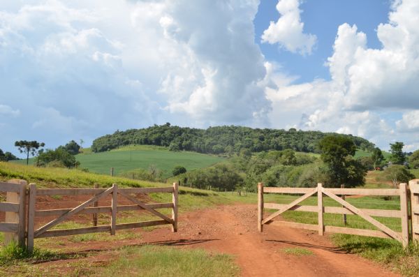 Sucess&atilde;o: como planejar, proteger e continuar