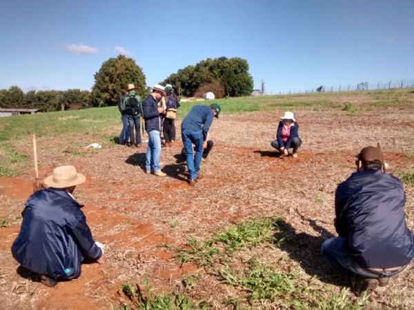 Sindicato Rural e Senar realizam Curso de Manejo de Solo e Água